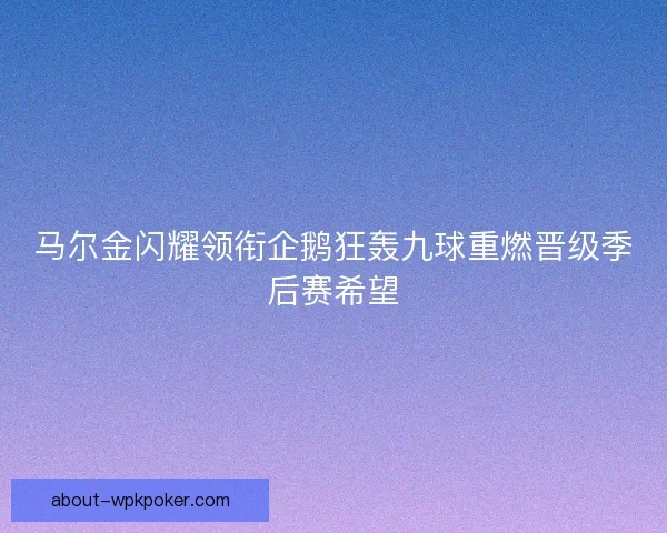 马尔金闪耀领衔企鹅狂轰九球重燃晋级季后赛希望