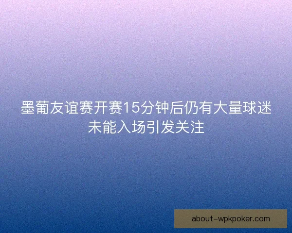 墨葡友谊赛开赛15分钟后仍有大量球迷未能入场引发关注